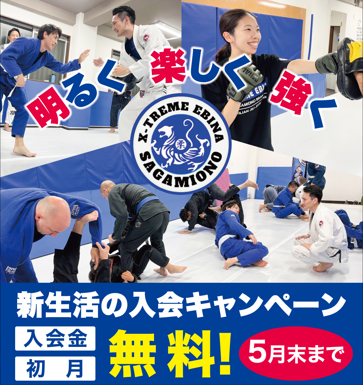 X-TREME EBINA 相模大野支部 カード表